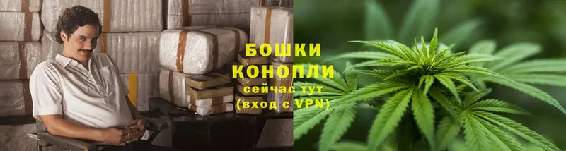 Бошки марихуана Ganja  цены   Кировск 